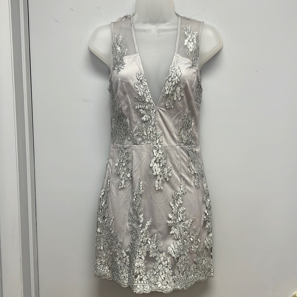 Tobi Embroidered Chiffon Overlay Mini Dress